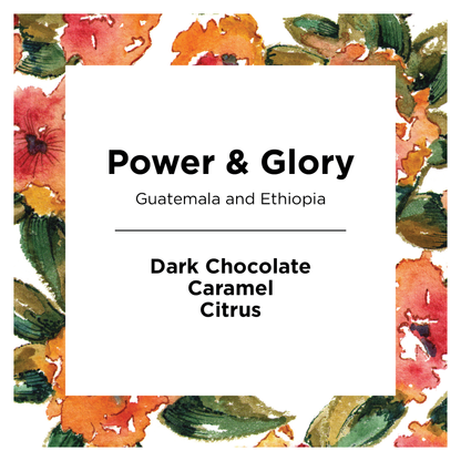 Power & Glory - Coffee Selection for Fresh Daily Preparation