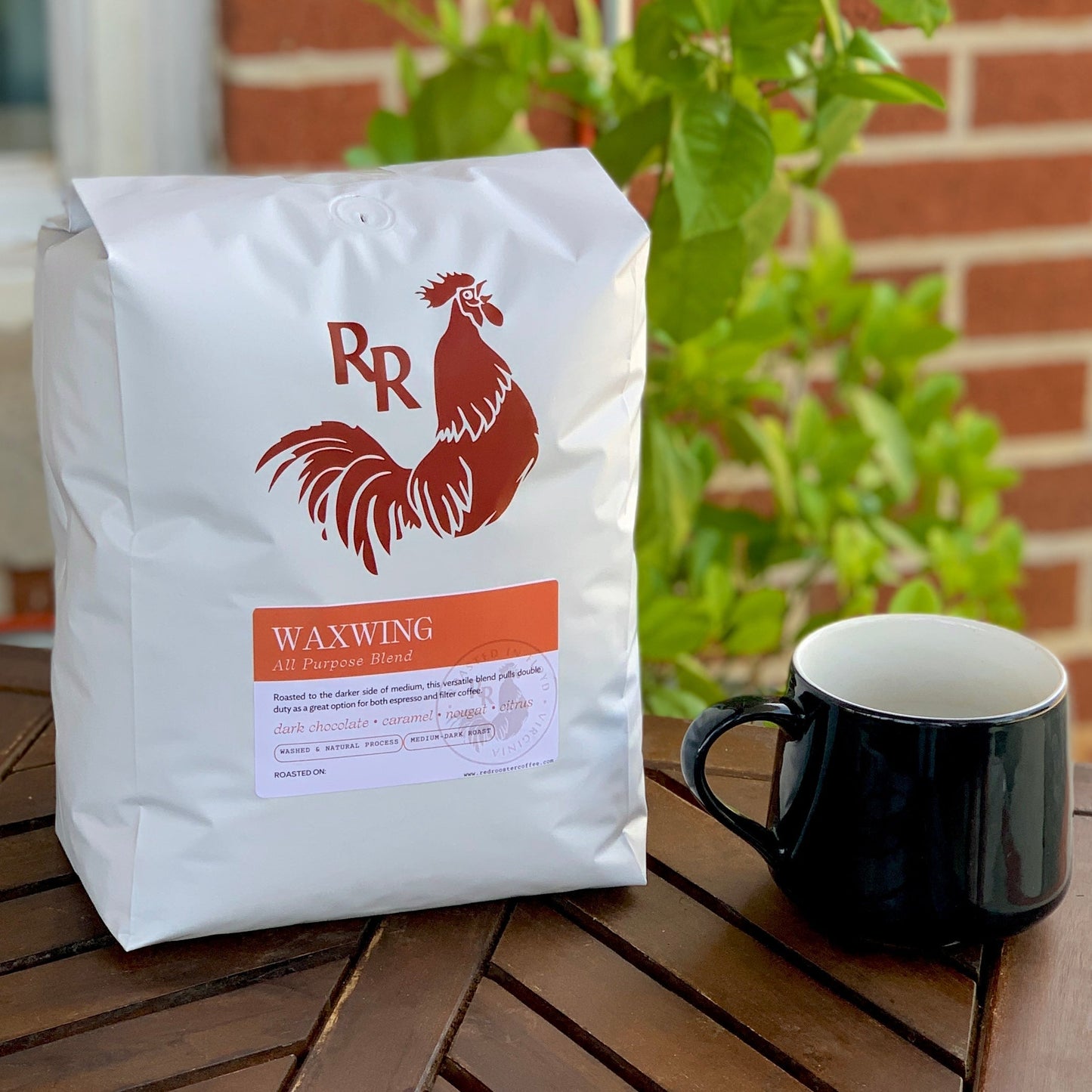 Waxwing All-Purpose Blend - Coffee Selection for Fresh Daily Preparation