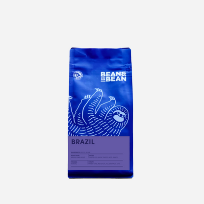 Rio Nights - Coffee Selection for Fresh Daily Preparation
