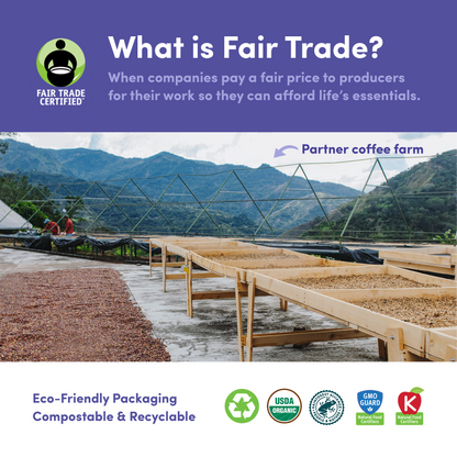 Downtown Blend Organic & Fair Trade - Coffee Selection for Fresh Daily Preparation