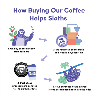 Downtown Blend Organic & Fair Trade - Coffee Selection for Fresh Daily Preparation